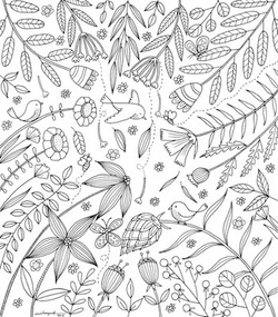 Nature Sings Colourart - adult colouring books by Emila Yusof
