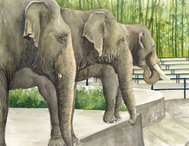 Siti the Elephant by Rossiti Aishah Rashidi, illustrated by Farah Ashiela Samsuri, published by Oyez!Books