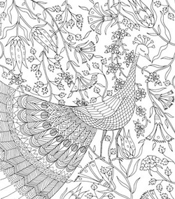  Nature Sings Colourart - adult colouring books by Emila Yusof