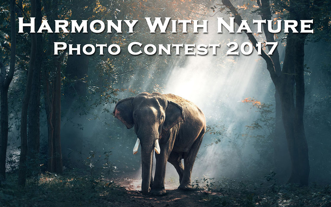 Harmony with Nature Photo Contest 2017 by Oyez!Books