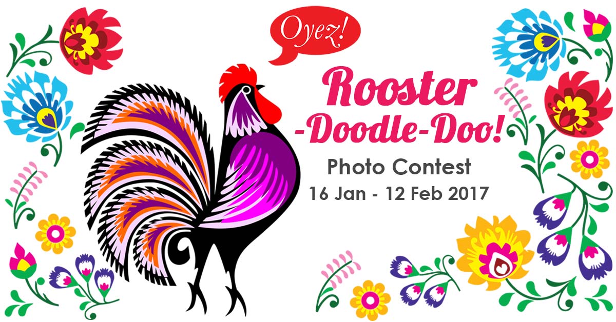 Rooster-Doodle-Doo! Photo Contest 2017 by Oyez!Books