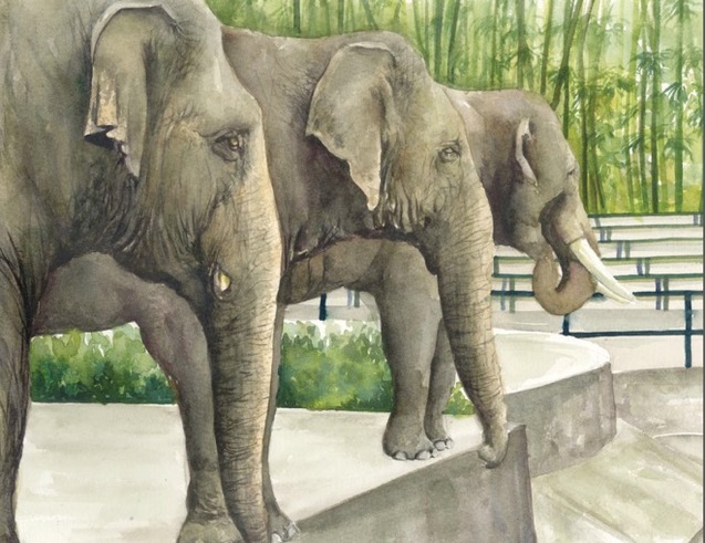 Siti The Elephant, children's picture book by Rossiti Aishah Rashidi, illustrated by Farrah Ashiela Samsuri