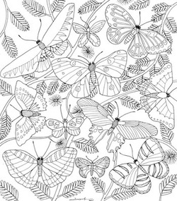 Nature Sings Colourart - adult colouring books by Emila Yusof
