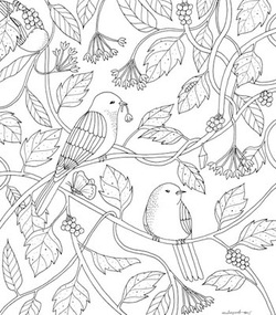  Nature Sings Colourart - adult colouring books by Emila Yusof