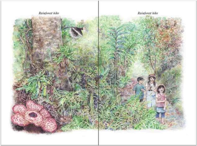 Rainforest Hike and Other Stories by Dr. Cecilia Leong, Illustrations by Chooi Ling Keiong, Oyez!Books, children’s short stories