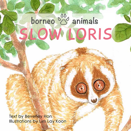 Borneo Animals Series : Slow Loris - picture book by Beverley Hon, illustrated by Lim Lay Koon, published by Oyez!Books