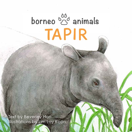 Borneo Animals Series : Tapir - picture book by Beverley Hon, illustrated by Lim Lay Koon, published by Oyez!Books