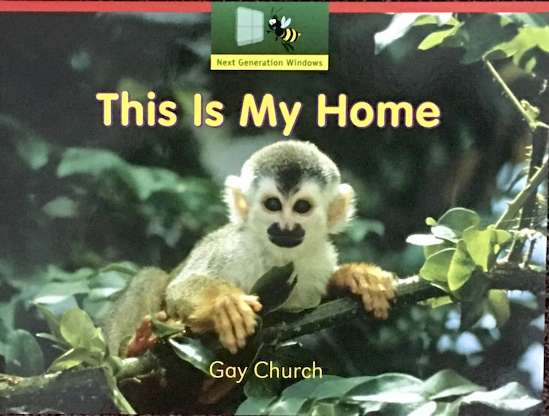 This is My Home by Gay Church - Around the World in Picture Books promotion by Oyez!Books