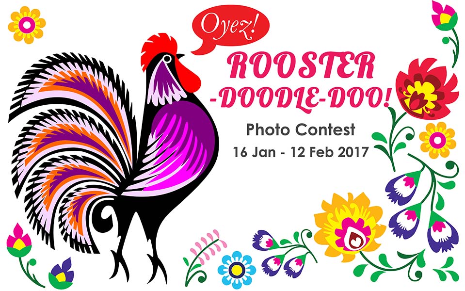 Rooster-Doodle-Doo! Photo Contest 2017 by Oyez!Books